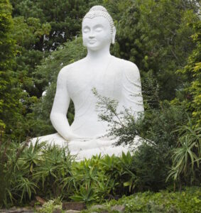 The Buddhist Retreat Centre